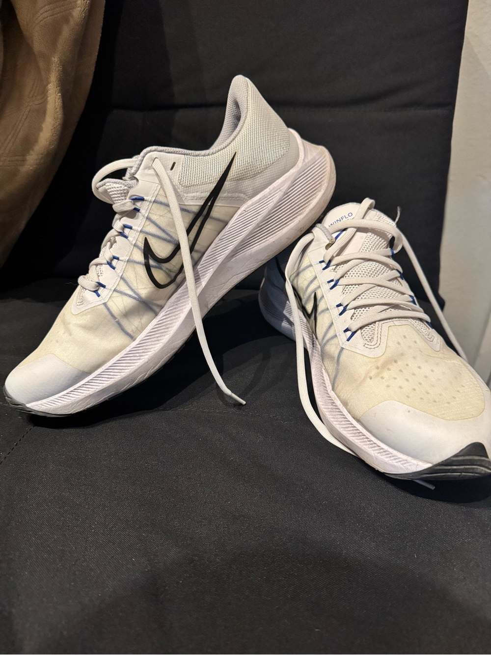 Nike Men’s White Athletic Running Shoes with Black Swoosh